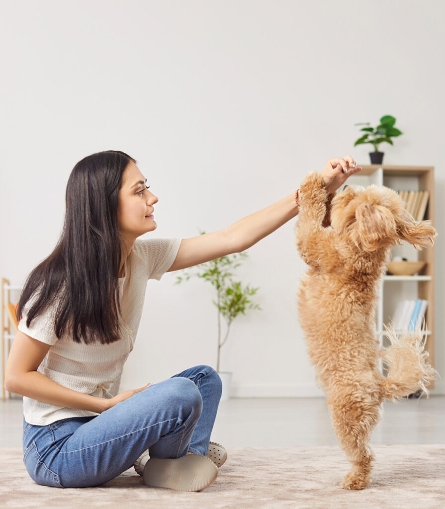 Women playing with her dog in her Atlas Rental unit Calgary NW